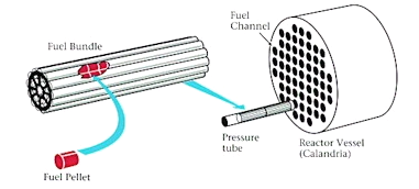 Diagram of fuel pellets, assembled fuel rods, and reactor vessel in a CANDU pressurized heavy water reactor; courtesy of AECL.